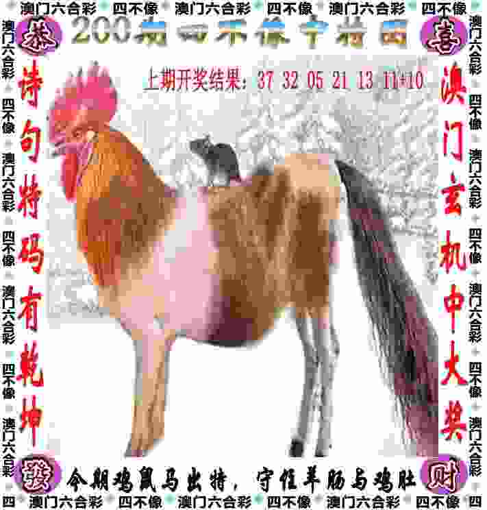 >新奥今天最新准确资料